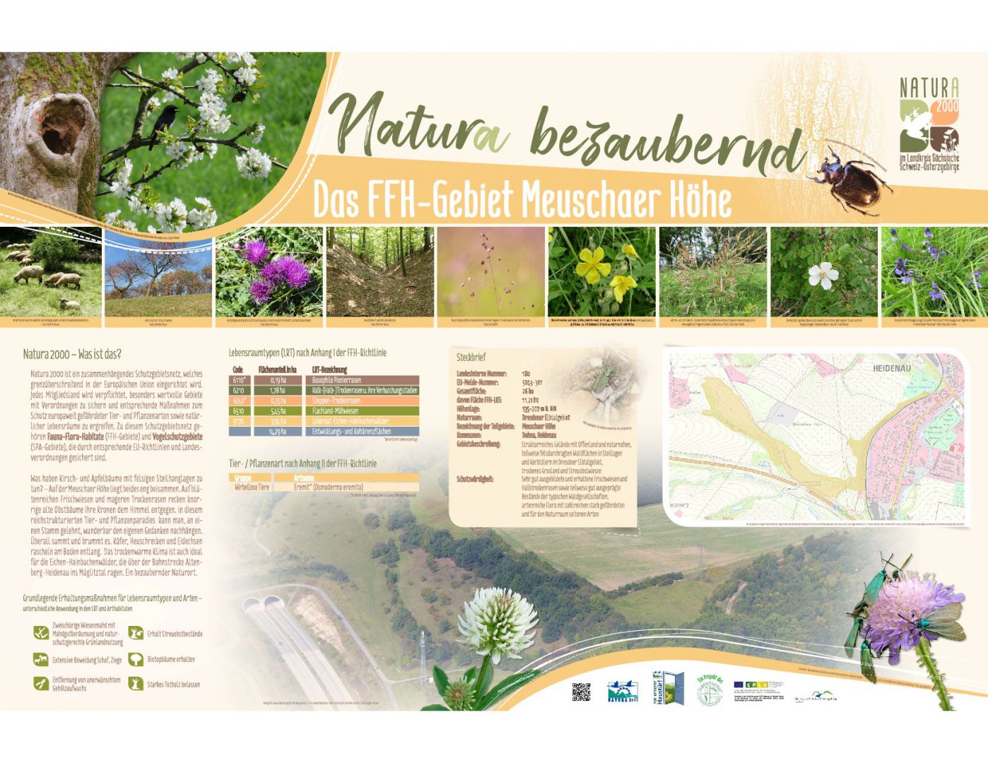 tl_files/downloads/Bilder Projekte/Projektstellen/Natura 2000 1.0/Tafeln/Tafel-Meuschaer-Hoehe.jpg